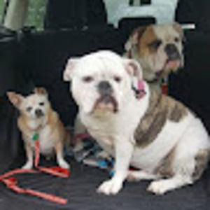 Meet your Posher, Caitlin